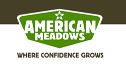 American Meadows